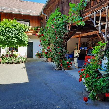 Loft-Like Apartment In Scheibbs With Swimming Pond Exterior photo