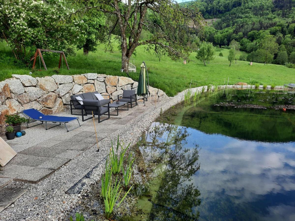 Loft-Like Apartment In Scheibbs With Swimming Pond Exterior photo